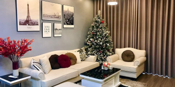 Chính chủ bán căn hộ 2306 tòa D1 chung cư Cao cấp 6Th Element- 83m2.