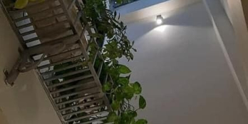 Trên Cả Tuyệt Vời Nhà Đẹp Có 1 0 2