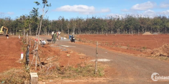 Chỉ 399 triệu/300m2 – chính xác 100% sở hữu ngay đất nền KDC Ia Ring, Ia Tiem