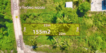 Bán 155m mặt tiền đường Cây Thông Ngoài.