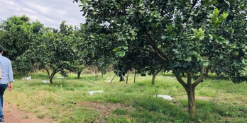 Nhà có việc nên cần bán bớt 9800m2 tại Định Quán_Đồng Nai, có thể bán lẻ.