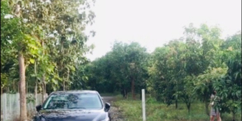 Đất vườn bưởi Định Quán, đường oto cách QL20 - 2km