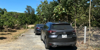 Cần bán gấp đất vườn trồng bưởi Định Quán Đồng Nai