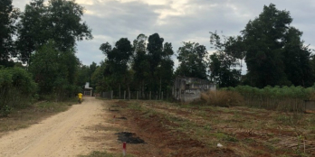 Nhà Tôi Có Việc Gấp Cần Bán 5 Xào Đất Đang Trồng Mì Ở Long Thành