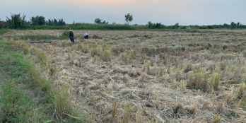 Đất CLN P.Khánh sát khu dân cư đ.xe hơi tới tận đất chỉ cách PT.Bường 500m