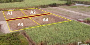 Đất CLN Phước Khánh Đ.xe hơi sổ hồng riêng giá chỉ 930k/m