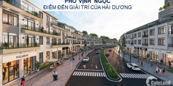 mua bán nhà phố kinh doanh ecorivers dọc đường đại lộ chính ,nhà mặt tiền rộng