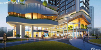 Căn hộ Hoàng Huy Grand Sở Dầu 2PN 60m2