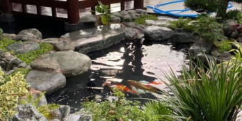 Bán căn hộ sân vườn Vinhomes Grand Park, TP Thủ Đức