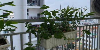 Rẻ nhất thị trường, căn hộ Oriental Plaza 104m2 full nội thất đẹp, dọn vào ở nga