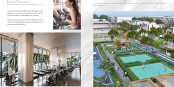 Cơ Hội sở Hữu nhà phố thương mại Nhật đường 30/4 Thành phố Thu Dầu 1