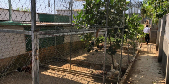 10*51, nở hậu 10,1m, lô đất có 2 mặt tiền trước và sau, có 300m2 đất thổ cư thuộ