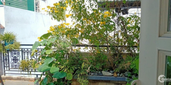 Hoa rơi hữu ý – Nước chảy vô tình- Thình lình có căn nhà rẻ đẹp