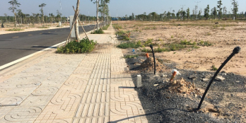 Đổ xô sinh lời NHANH từ Đất nền TP. Rồng Long Thành?