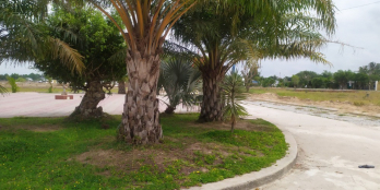 2 Nền Liền Kề Mặt Tiền Rộng, Vị Trí Độc Tôn Trung Tâm Rạch Giá