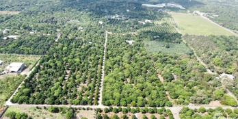 CẦN BÁN ĐẤT SÀO BIÊT THỰ  ,NHÀ VƯỜN . XẢ BÀU HÀM 2 SHR