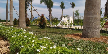 Đất nền Đồng Nai, gần Khu Công Nghiệp Sông Mây, Phù Hợp Đầu Tư Kinh Doanh Ngay