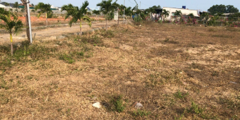 Bán đất ven biển Hồ Tràm - Xuyên Mộc  - Bà Rịa Vũng Tàu