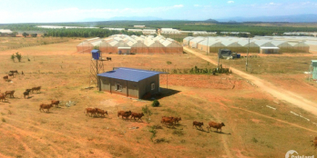 " Đầu tư rồi chờ đợi, đừng chờ đợi để đầu tư " đất ở Bình Thuận giá chỉ 90,000/m