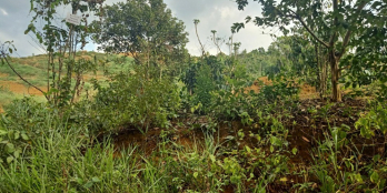 1400m2 vườn cây ăn trái wiew sông tuyệt đẹp giá chỉ 800tr