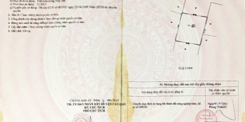 Săn đất rẻ: 6142m² ở Cần Giờ giá giảm còn 18.4 tỷ