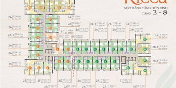 Giỏ hàng những căn đẹp giá tốt dự án Ricca Q9