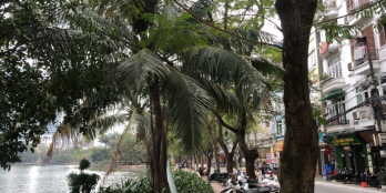 Bán thửa đất 90m2, MT 4.5m tại HOÀNG CẦU, nhìn view Vườn hoa, Ôtô vào gara