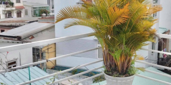 Cách Mạng Tháng 8, 44m2, 4mx11m, giá 4 tỷ 2, thương lượng