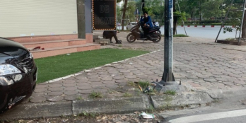 Bán nhà mặt đường Võ Chí Công rộng rãi 2 mặt tiền, thoáng 53m2