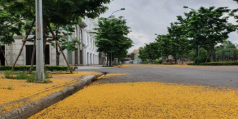 Bán Liền Kề, Biệt Thự dự án Opus One Uông Bí. Vị trí Siêu Đẹp. giá chỉ từ 2,9 tỉ