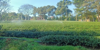 Bán Đất Nền Thổ Cư Giá Rẻ 1 tỷ 2/Nền Đường Trương Định, xã Lộc Châu, TP Bảo Lộc,