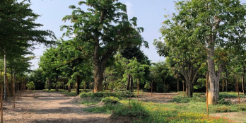 Bán Đất QH Thổ Cư, Bến Lức – Long An Gần Khu WaterPoint 6.5tr/M2