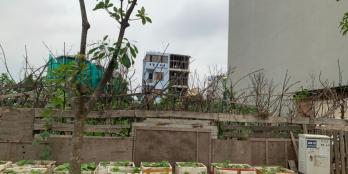 Đừng bỏ lỡ mảnh đất giá thấp. Cần tiền chữa bệnh bán đất 260m khu 31ha Trâu Qùy