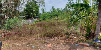 CHÍNH CHỦ CẦN BÁN MIẾNG ĐẤT THỔ CƯ VUÔNG VỨC, 800M2, MẶT TIỀN NHỰA