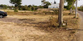 Nền đất thổ cư Long Khánh, Đồng Nai, mặt tiền rộng 55m, đất chính chủ cần bán