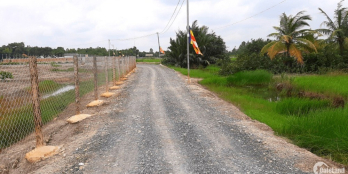 đất đường phạm thái bường, phước khánh nhơn trạch đồng nai