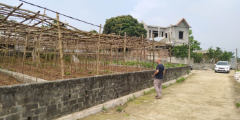 Đất nền Bình Mạnh Hòa Thạch 80m2 Full thổ cư chỉ từ 600tr đường ô tô