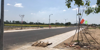 Giỏ hàng mới giá rẻ nhất khu vực