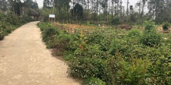 cần bán đất tổ 11 thị trấn sapa diện tích 872m2