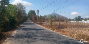 2.3tỷ/1100m2 ngay trung tâm phường Hắc Dịch, TX Phú Mỹ, Bà Rịa - Vũng Tàu