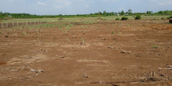 Cần tiền bán gấp miếng đất vườn xã Hưng Thịnh, huyện Trảng Bom