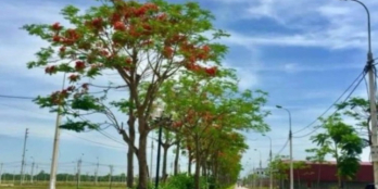 2 suất ngoại giao đối diện cổng chính bệnh viện quốc tế Sao Mai KĐT Sao Mai