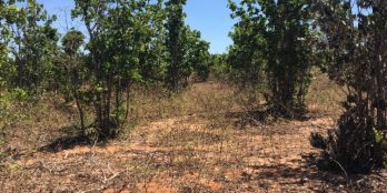 Đất Hòa Thắng, ra Bàu Trắng 10p, có đường hiện hữu trên sổ. LH ngay!