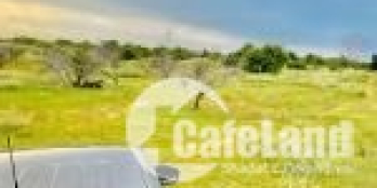 Bán gấp lô đất mặt tiền đường lớn, xã Hồng Thái.