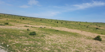 Lô đất 1,6ha Cách đường Liên Huyện 100m, Có đường Trên Sổ, 90k/m2