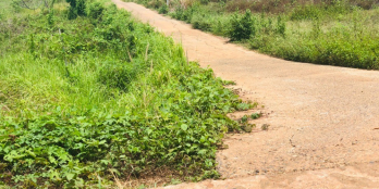 Bán đất nền  giá rẻ Bình Phước, 3 mặt tiền, giá chỉ từ 4xxxx triệu