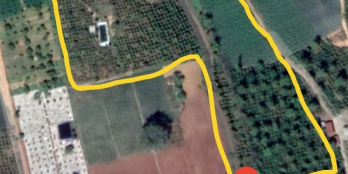 Bán 3.1 Hecta đất có sẵn vườn cây ăn trái,Ka-Nai,Phú Hội,Đức Trọng,giá 270 triệu