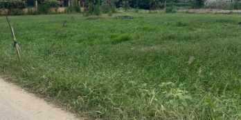 ĐẤT HUYỆN BÌNH CHÁNH GIÁ RẺ, VỊ TRỊ TỐT ĐỂ ĐẦU TƯ, GIÁ CHỈ 416TR