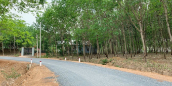 Đất Lộc Thiện 1000m2 đầu tư ngay trung tâm Lộc Ninh Bình Phước