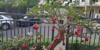 Biệt thự Lakeview An Phú Quận 2, 168m2 đất, 3 tầng, sổ hồng. Giá 35 tỷ